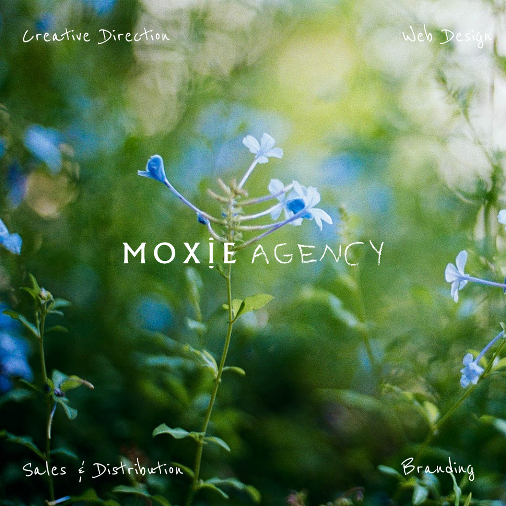 MOXIE creative agency